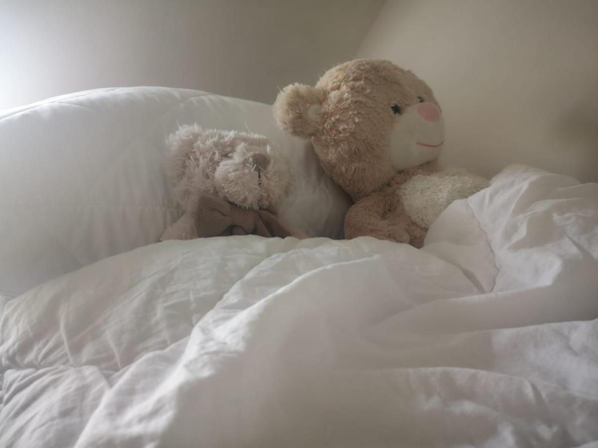 Apartamenty Lena 16 Twoje Poddasze Racibórz Esterno foto