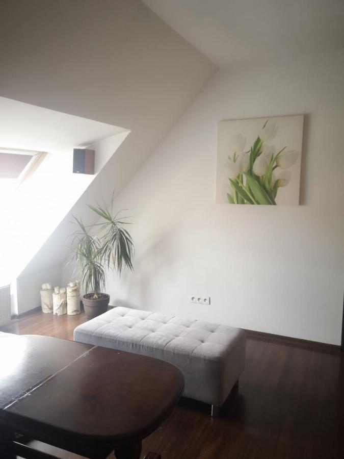Apartamenty Lena 16 Twoje Poddasze Racibórz Esterno foto